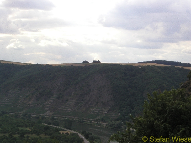 Moseltal (Weinberge)