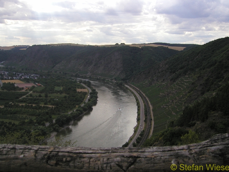 Moseltal (Weinberge an der Mosel)