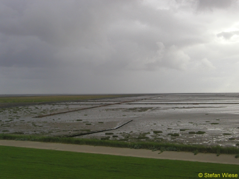 Friedrichskoog (Wattenmeer)