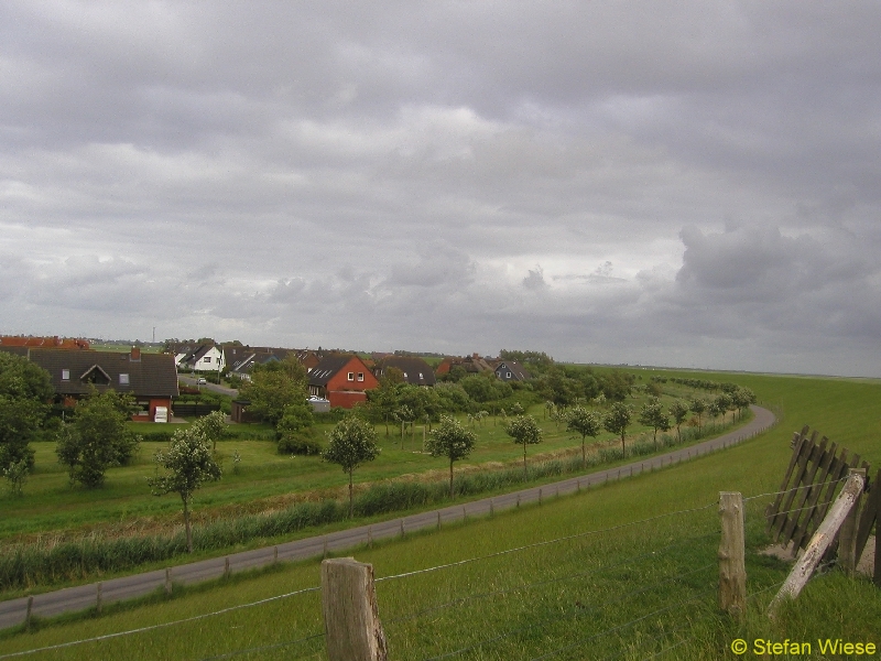 Friedrichskoog (Bilder Friedrichskoog)