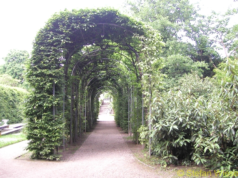 Koeln: Flora (Die Flora im Herbst)