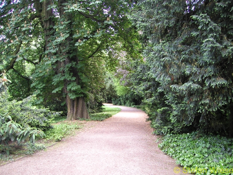 Koeln: Flora (Die Flora im Herbst)