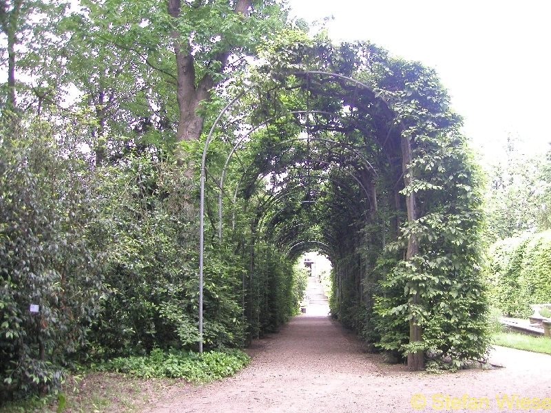 Koeln: Flora (Die Flora im Herbst)