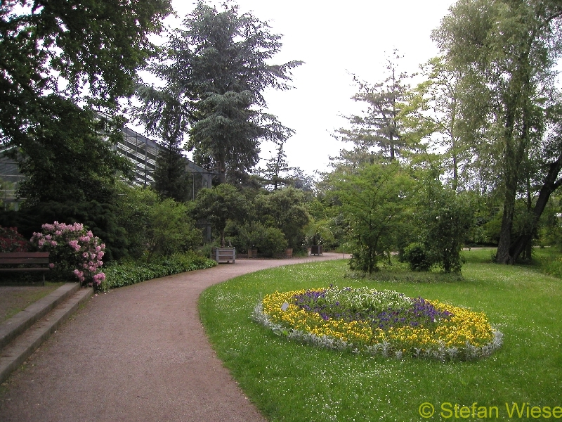 Koeln: Flora (Die Flora im Herbst)