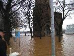 Koeln: Hochwasser Jan 2003 (Schokoladenmuseum rechts und Schwan)