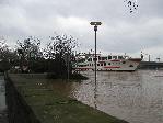 Koeln: Hochwasser Jan 2003 (Schiffsfahrt)