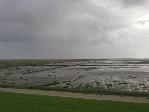 Friedrichskoog (Wattenmeer)