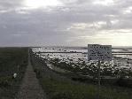 Friedrichskoog (Wattenmeer Sicherungsdamm)